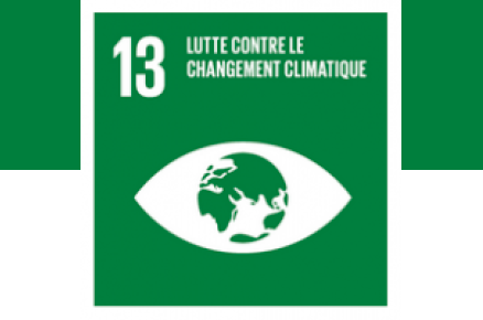 Lutte contre le changement climatique